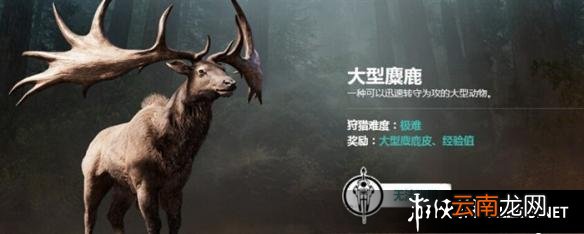 《孤岛惊魂：原始杀戮》动物数据大全图鉴 豺狗Dhole