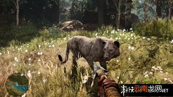 《孤岛惊魂：原始杀戮》动物数据大全图鉴 豺狗Dhole