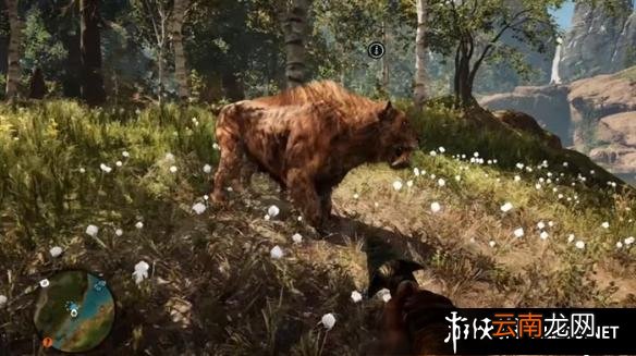 《孤岛惊魂：原始杀戮》动物数据大全图鉴 豺狗Dhole