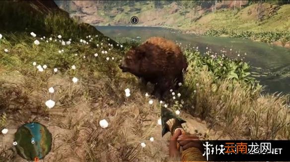 《孤岛惊魂：原始杀戮》动物数据大全图鉴 豺狗Dhole