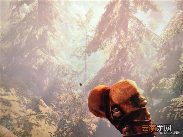 《孤岛惊魂：原始杀戮》血骨棍棒获得及制作方法图文解析攻略