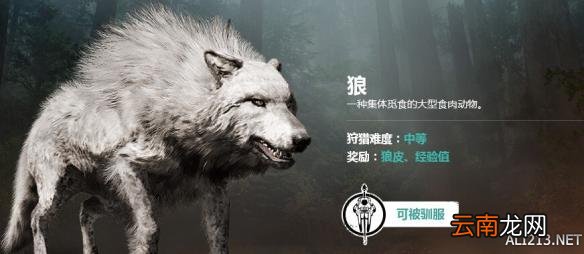 《孤岛惊魂：原始杀戮》野兽驯服教程 怎么驯服野兽