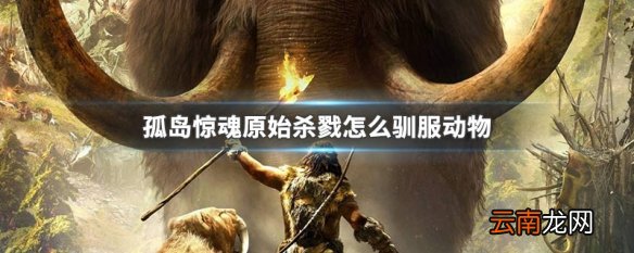 孤岛惊魂原始杀戮怎么驯服动物 孤岛惊魂原始杀戮驯服动物的方法