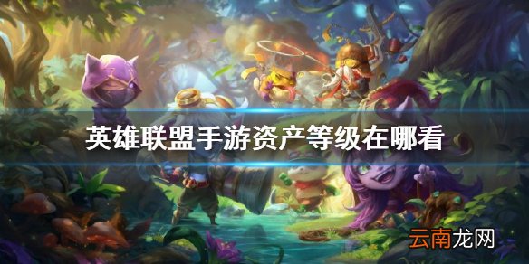 英雄联盟手游资产等级在哪看 lol手游资产等级查看方法