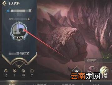 英雄联盟手游称号怎么看 英雄联盟手游称号查看方法