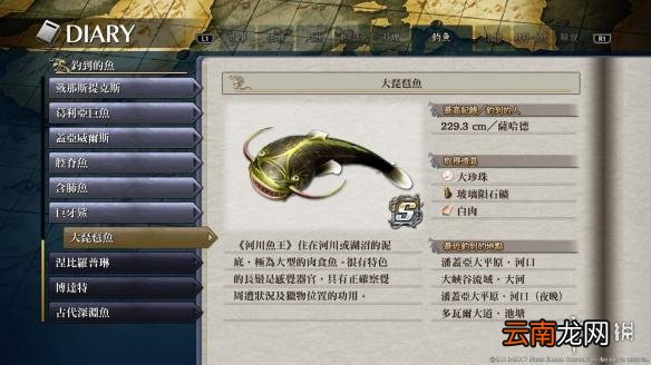 伊苏8鱼王出没位置分享 伊苏8鱼王在哪钓 大琵琶鱼