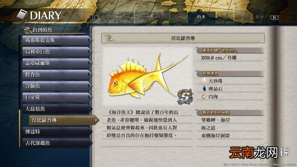 伊苏8鱼王出没位置分享 伊苏8鱼王在哪钓 大琵琶鱼