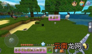 迷你世界鸵鸟怎么驯服 一个西瓜就搞定
