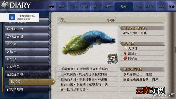 伊苏8鱼王怎么钓？伊苏8最后四条鱼王位置图文介绍