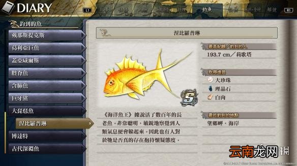 伊苏8新增奖杯与要素汇总 伊苏8新增奖杯与要素一览