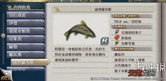 伊苏8白金奖杯达成攻略大全 伊苏8全奖杯达成 奖杯分类