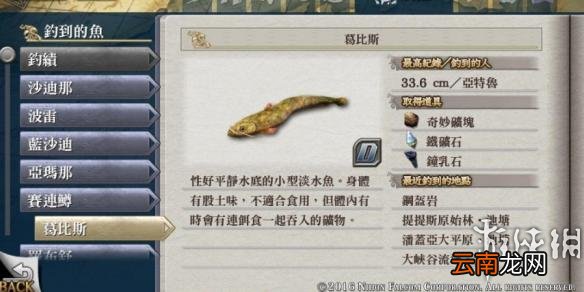 伊苏8白金奖杯达成攻略大全 伊苏8全奖杯达成 奖杯分类