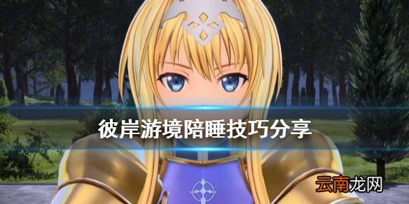 刀剑神域彼岸游境陪睡有什么技巧 彼岸游境陪睡技巧分享