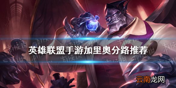 英雄联盟手游加里奥走哪 lol手游加里奥分路推荐