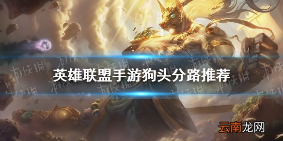 英雄联盟手游狗头分路推荐 lol手游狗头走哪