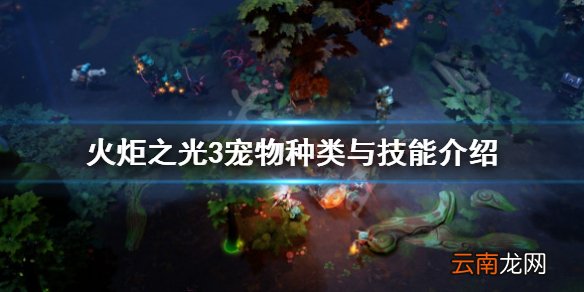 火炬之光3宠物怎么获得 火炬之光3宠物种类与技能介绍