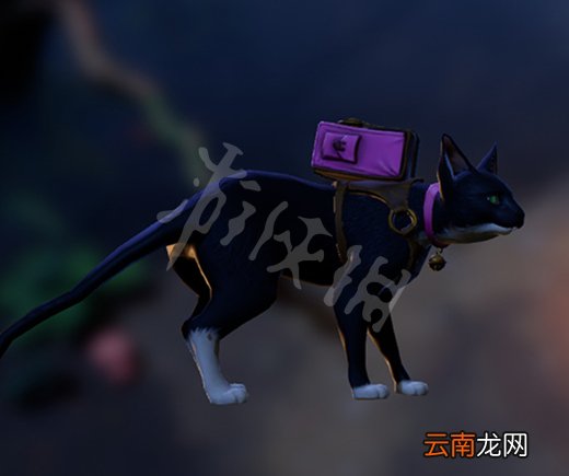 火炬之光3宠物怎么获得 火炬之光3宠物种类与技能介绍
