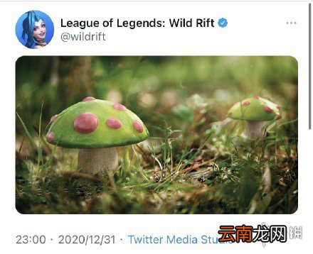 英雄联盟手游提莫什么时候出 lol手游提莫上线时间介绍