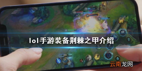 英雄联盟手游装备翻译荆棘之甲 lol手游装备荆棘之甲介绍