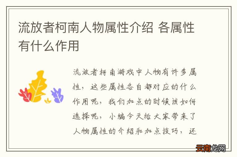 流放者柯南人物属性介绍 各属性有什么作用
