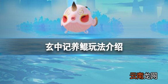 玄中记养鲲玩法介绍 玄中记缘物化器柱神提升攻略