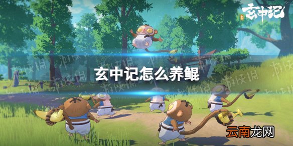 玄中记怎么养鲲 玄中记养鲲方法