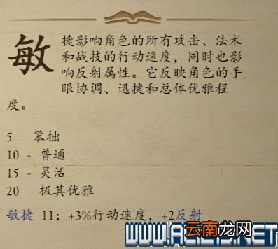 永恒之柱2职业选择+技能加点+种族特色全图文攻略 职业bd 基础属性:总览
