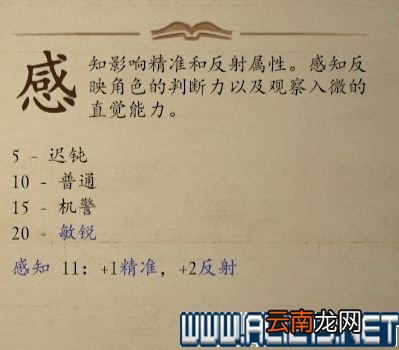 永恒之柱2职业选择+技能加点+种族特色全图文攻略 职业bd 基础属性:总览