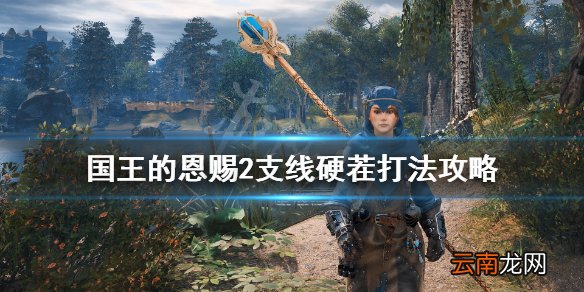 国王的恩赐2硬茬支线任务怎么做 国王的恩赐2支线硬茬打法