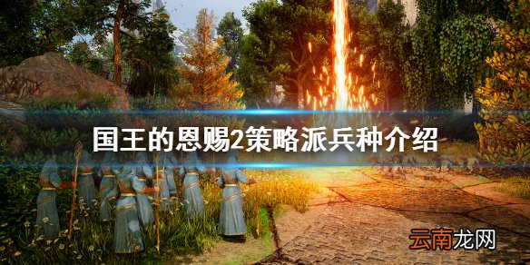 国王的恩赐2策略派兵种有哪些 国王的恩赐2策略派兵种介绍