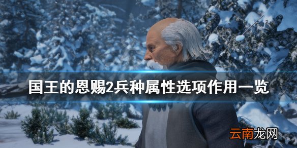 国王的恩赐2兵种属性选项有哪些 兵种属性选项作用一览