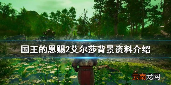 国王的恩赐2艾尔莎怎么样 国王的恩赐2艾尔莎背景资料介绍