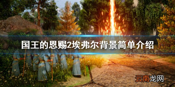 国王的恩赐2埃弗尔是谁 国王的恩赐2埃弗尔背景简单介绍