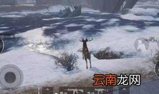 和平精英滑雪板怎么用 滑雪板使用方法介绍