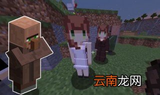 我的世界村民怎么驯服 原来是这样驯服的