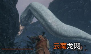 只狼白蛇怎么打 白蛇对抗技巧介绍