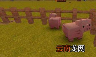 迷你世界里的猪吃什么 为大家来详细的介绍