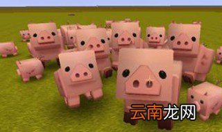 迷你世界猪喜欢吃什么 一起来看看吧