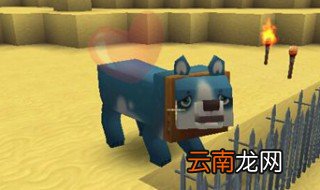 迷你世界怎么生孩子 赶紧来了解下吧