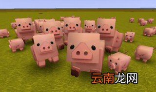 迷你世界的猪吃什么东西 感兴趣的一起来看下吧