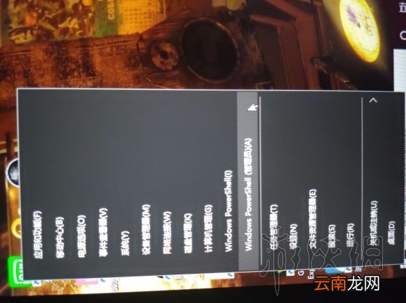 植物大战僵尸邻里之战无法游戏怎么办 无法游戏解决方法一览