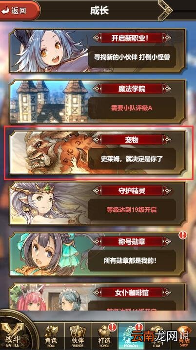 绯雨骑士团2宠物图鉴在哪里 绯雨骑士团2宠物图鉴位置攻略