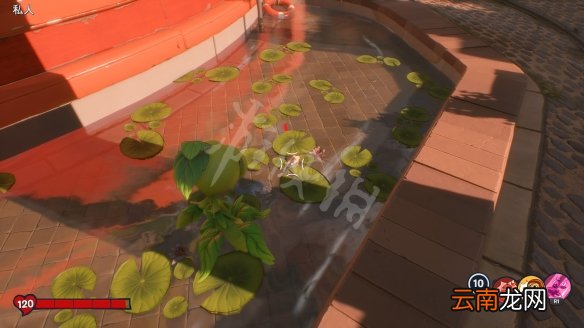 植物大战僵尸邻里之战全金鱼位置介绍 金鱼怎么收集