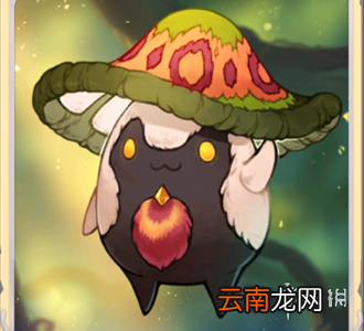 风之大陆伞盖菇怎么获得 伞盖菇获得方法介绍
