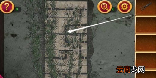 密室逃脱1逃离地牢第12关怎么过 密室逃脱第12关图文攻略