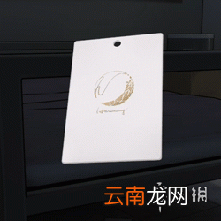 未定事件簿主线推理怎么玩 未定事件簿主线推理玩法介绍