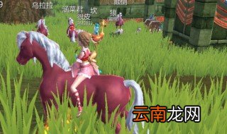 我的世界藏宝图怎么用 你知道吗
