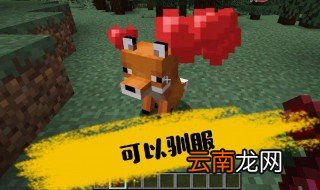 我的世界狐狸怎么驯服 如何获得可爱的狐狸