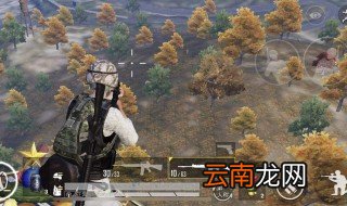 和平精英哪些地方有圣诞树 你知道几个
