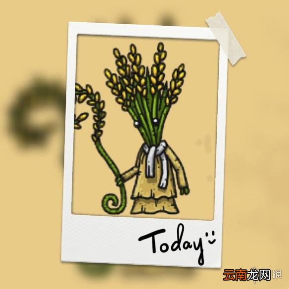 黑暗料理王怎么玩 黑暗料理王玩法经验分享